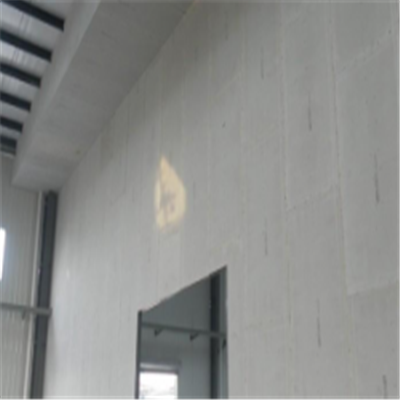 舟山宁波ALC板|EPS加气板隔墙与混凝土整浇联接的实验研讨